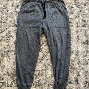 BDG Urban Outfitters Boys Gray Sweatpant Joggers